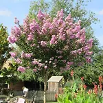 Logis De Chalons A La * Le Gua (Charente-Maritime)