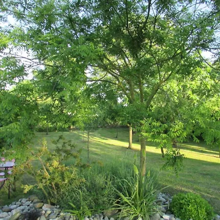 בית נופש Logis De Chalons A La Le Gua (Charente-Maritime)