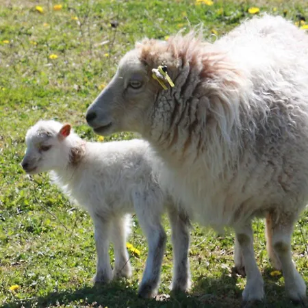 בית נופש Logis De Chalons A La *