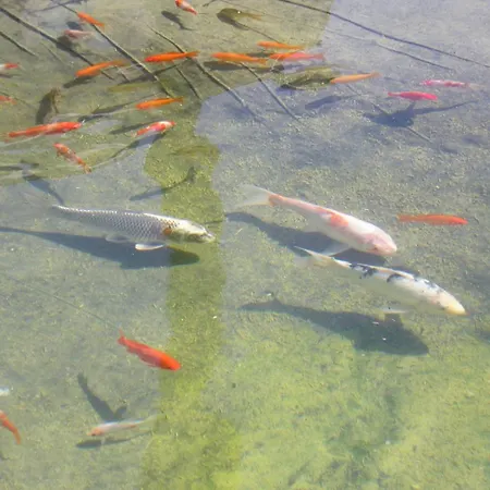 Logis De Chalons A La בית נופש *