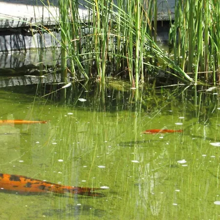 Logis De Chalons A La