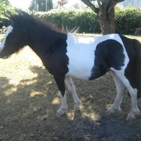 Logis De Chalons A La בית נופש