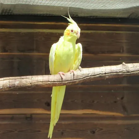 Logis De Chalons A La