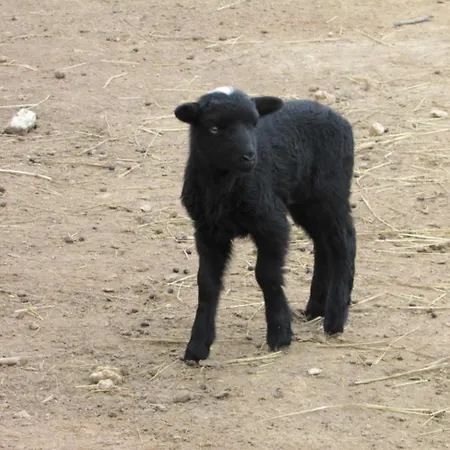 Logis De Chalons A La בית נופש