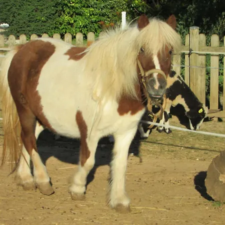 Logis De Chalons A La Le Gua (Charente-Maritime)