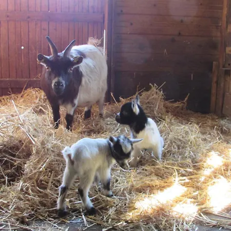 Logis De Chalons A La