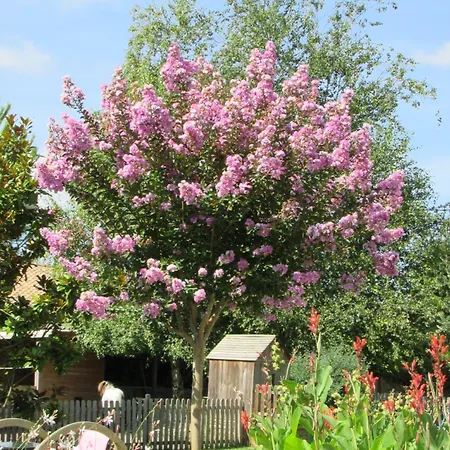Logis De Chalons A La * Le Gua (Charente-Maritime)